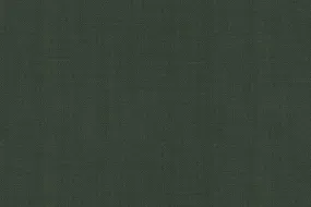 Green Plain 100% Wool (Ref-838505)