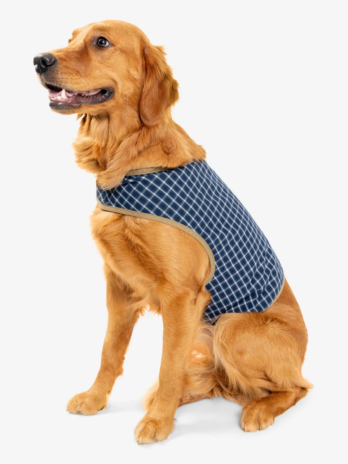 Insect Shield Plaid Pet Vest