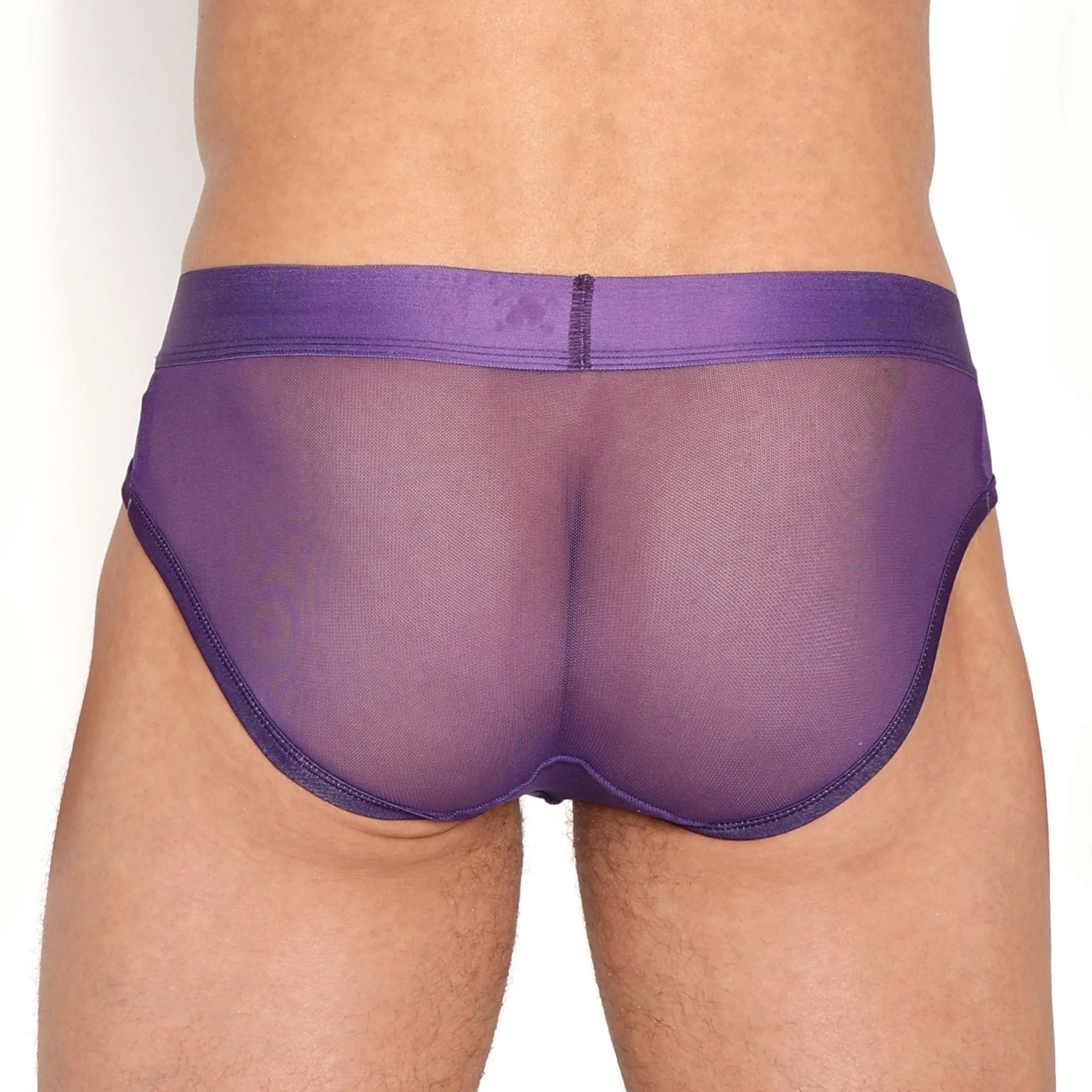 Just The Bones Sheer Brief Purple