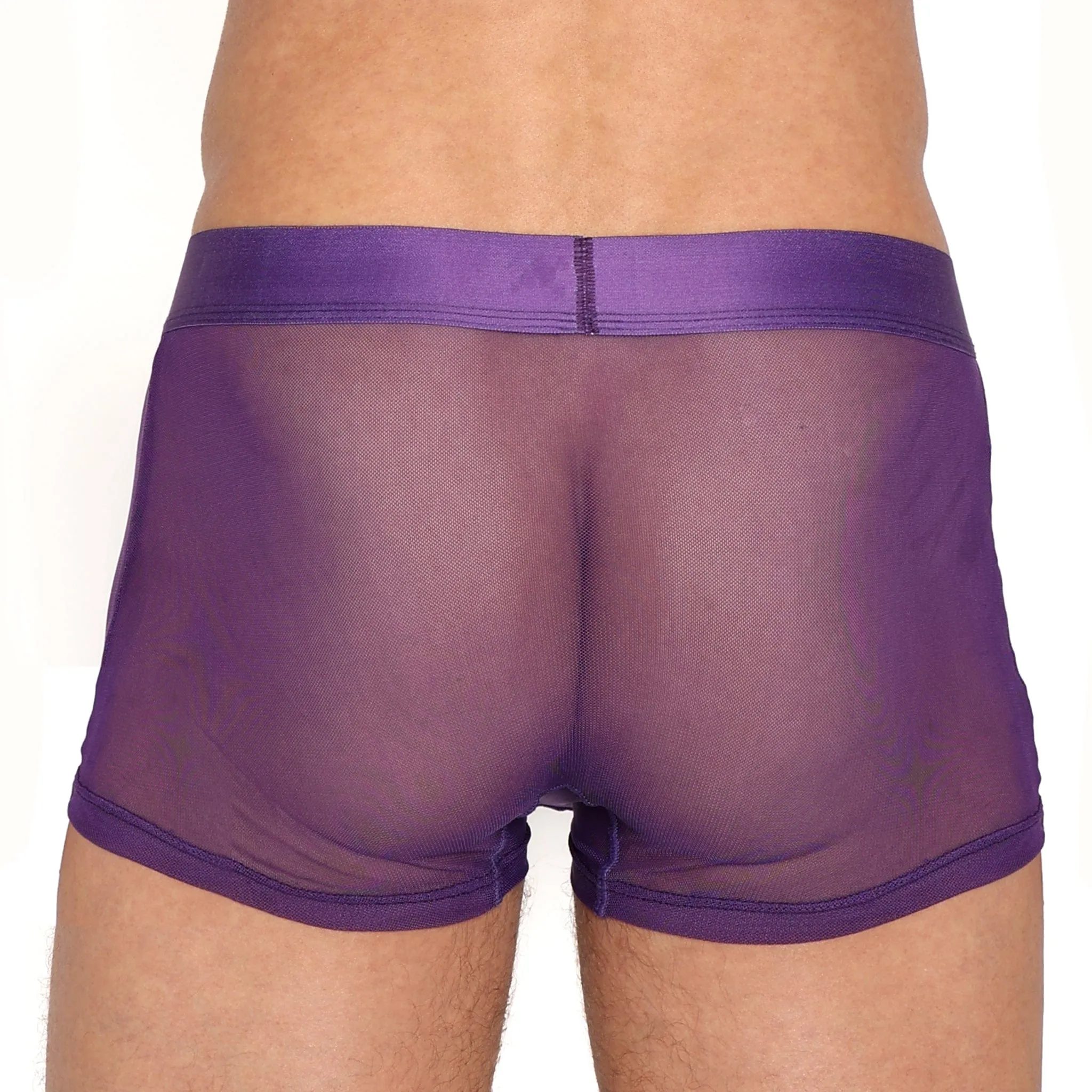 Just The Bones Sheer Trunk Purple